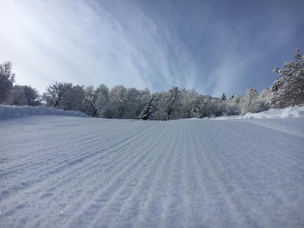 powder day